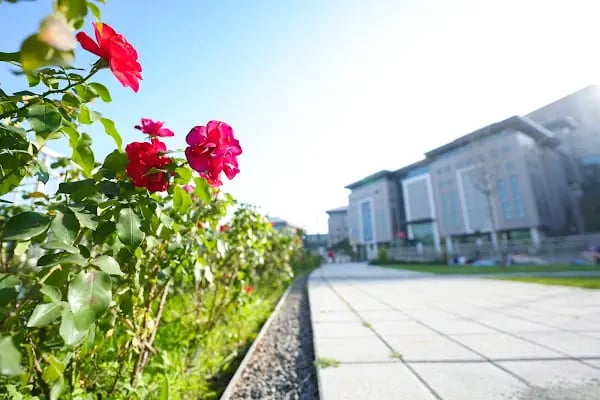Haliç Üniversitesi - Resim 15