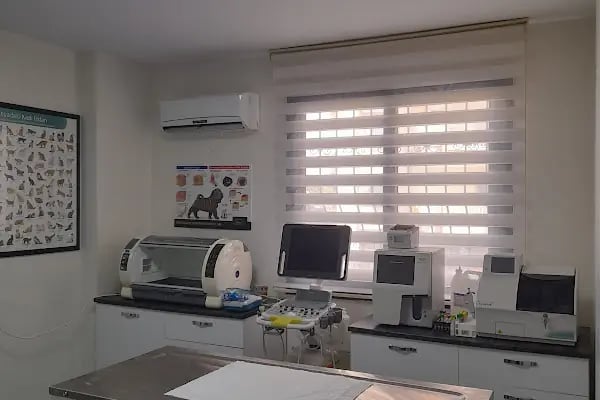 GOLD VETERİNER KLİNİĞİ - Resim 1