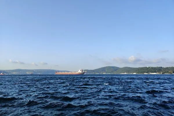 Büyükada Rum Yetimhanesi - Resim 15