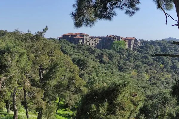 Büyükada Rum Yetimhanesi - Resim 20