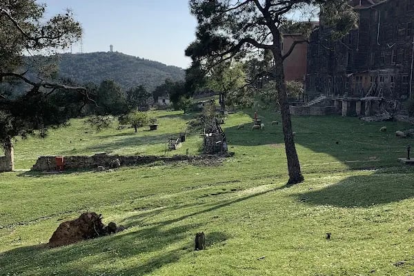 Büyükada Rum Yetimhanesi - Resim 9