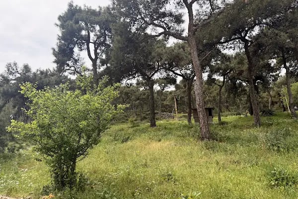 Büyükada Rum Yetimhanesi - Resim 7