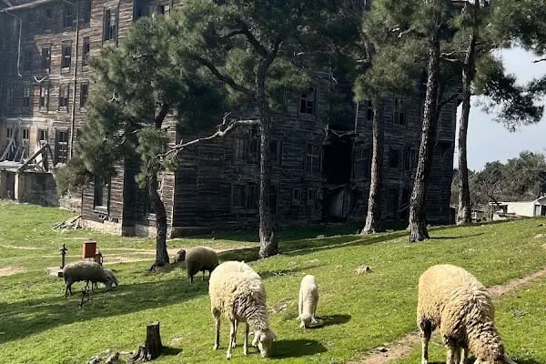 Büyükada Rum Yetimhanesi - Resim 5