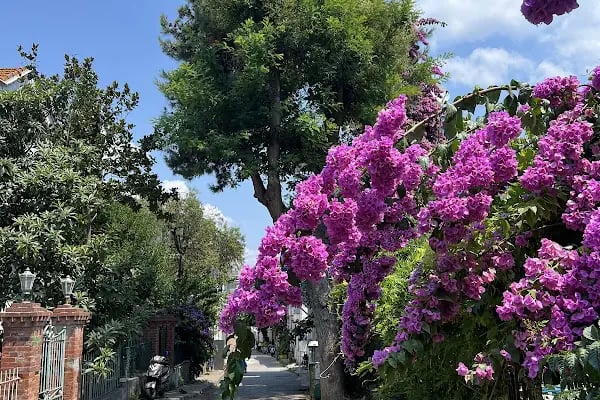 Büyükada Rum Yetimhanesi - Resim 16