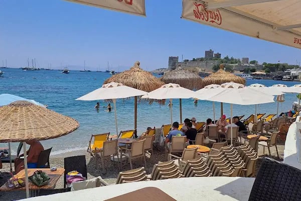 Mahfel Cafe - Bodrum Belediye A.Ş. - Resim 13