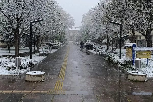 Ankara Üniversitesi Veteriner Fakültesi - Resim 11