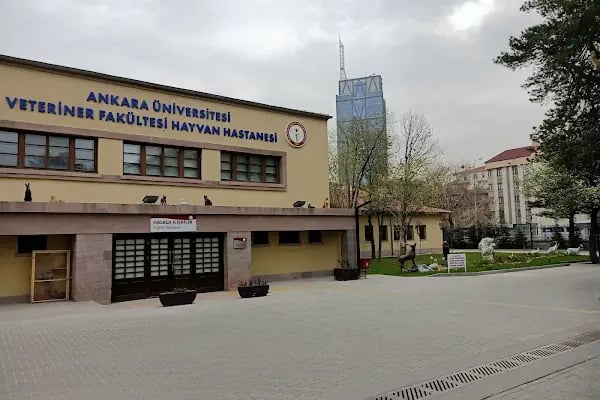 Ankara Üniversitesi Veteriner Fakültesi - Resim 2
