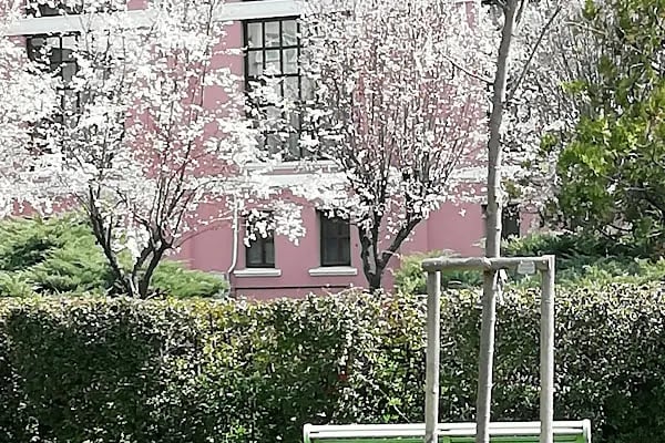Ankara Üniversitesi Veteriner Fakültesi - Resim 18