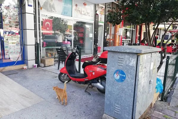 Best Veteriner Kliniği - Resim 8