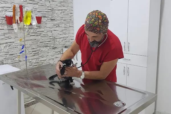 Best Veteriner Kliniği - Resim 10