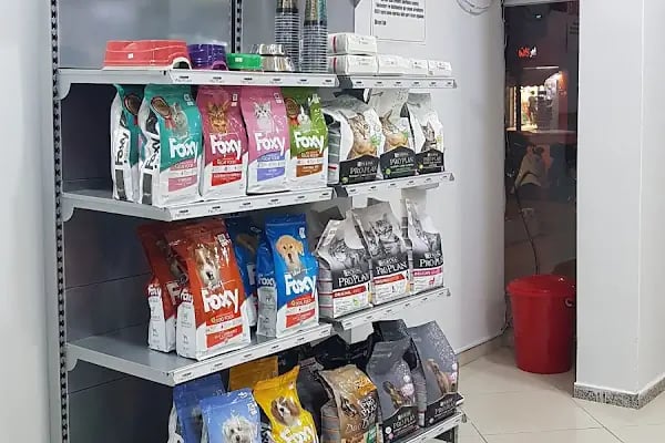 Best Veteriner Kliniği - Resim 12