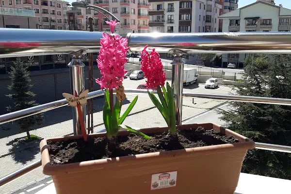 Ankarama Residence - Resim 8