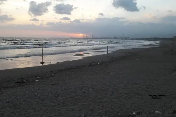 Ali Dayı Balık Restaurant - Resim 12