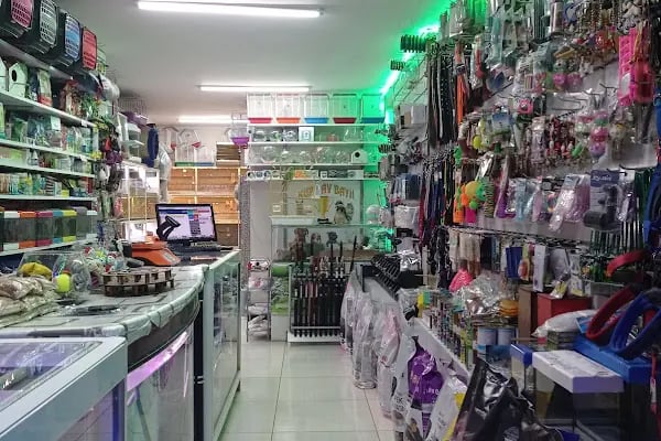 Kaşüstü petshop - Resim 9