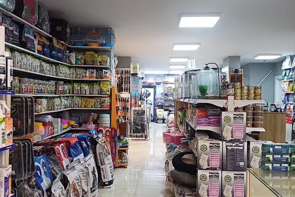 Kaşüstü petshop - Resim 17
