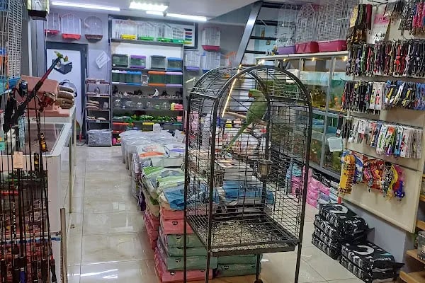Kaşüstü petshop - Resim 11