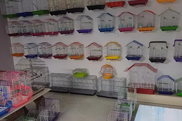 Kaşüstü petshop - Resim 3