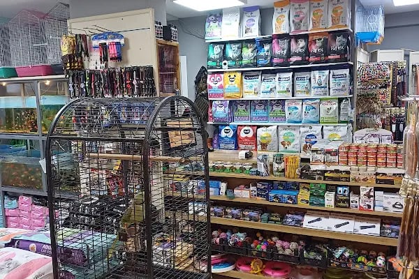 Kaşüstü petshop - Resim 14