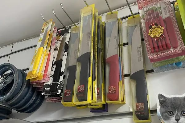 Kaşüstü petshop - Resim 7