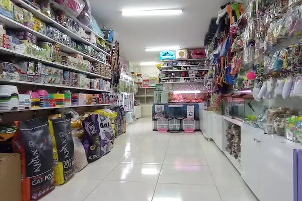 Kaşüstü petshop - Resim 18