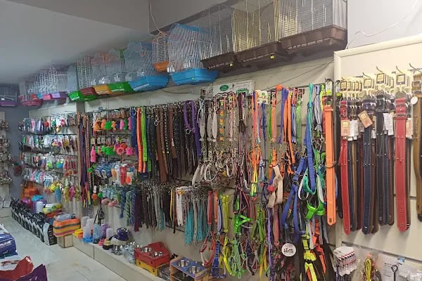 Kaşüstü petshop - Resim 19