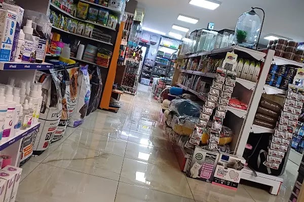 Kaşüstü petshop - Resim 2