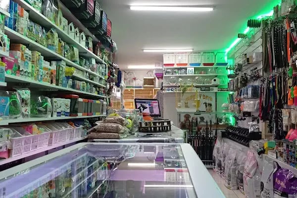 Kaşüstü petshop - Resim 6