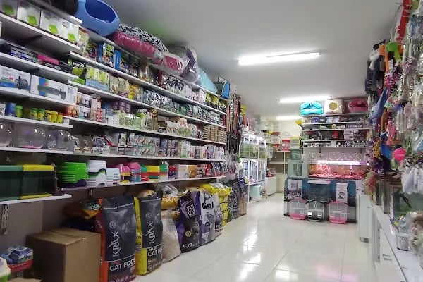 Kaşüstü petshop - Resim 12