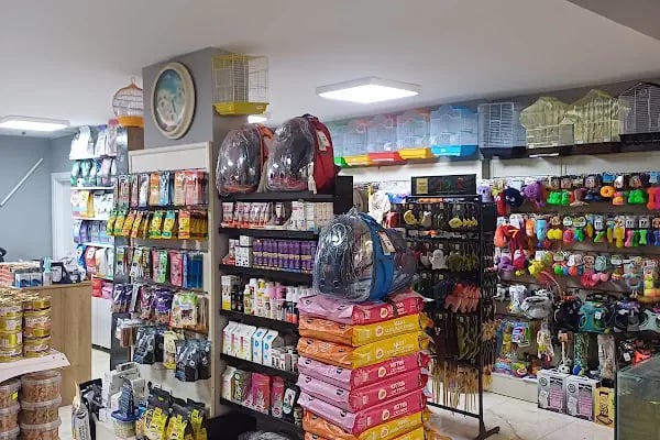 Kaşüstü petshop - Resim 5