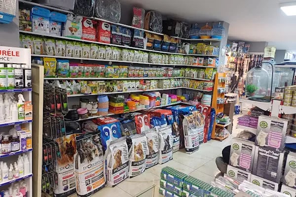 Kaşüstü petshop - Resim 20