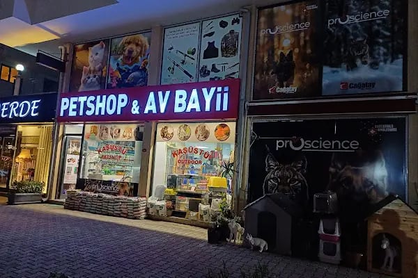 Kaşüstü petshop - Resim 15