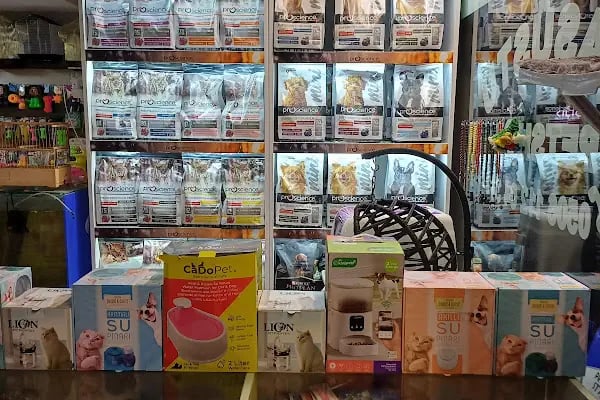 Kaşüstü petshop - Resim 8