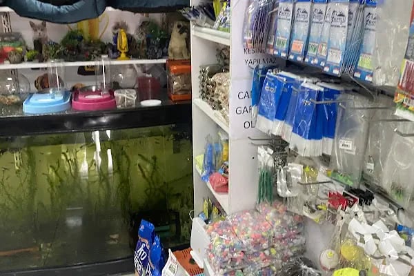 Kaşüstü petshop - Resim 16