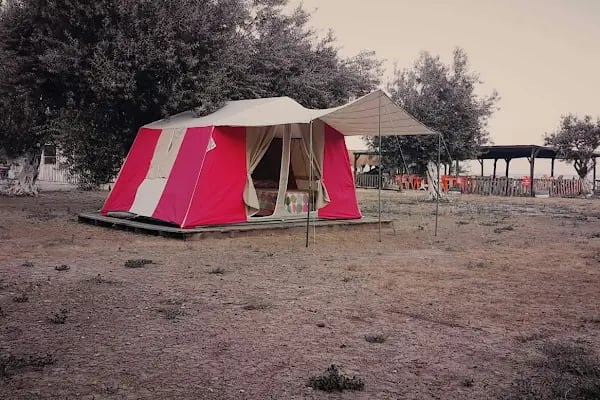 Assos Rüya Kamping - Resim 18