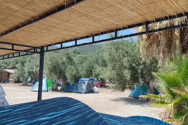 Assos Rüya Kamping - Resim 3