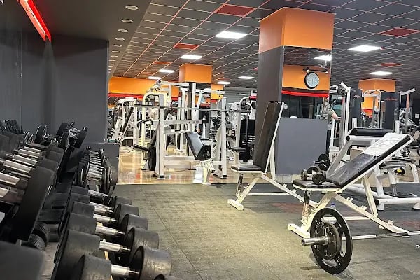 Maestro Pilates &amp; Performance - Resim 8