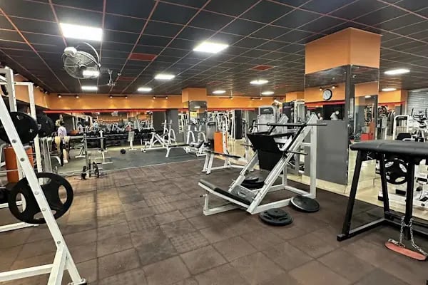 Maestro Pilates &amp; Performance - Resim 7