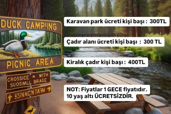 Ördekli Kamp ve Piknik Alanı - Resim 10