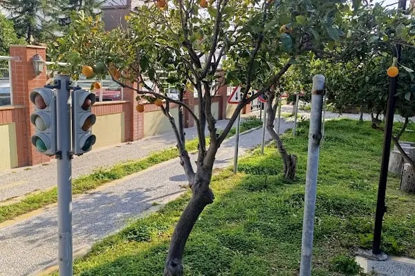 Özel Bodrum Güney Anaokulu (Turgutreis) - Resim 12