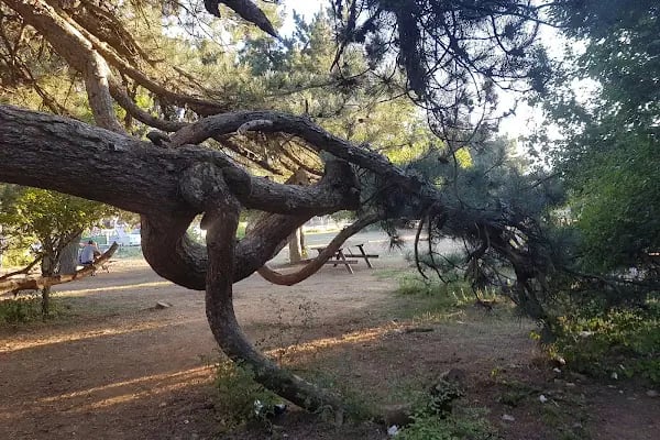 Spil Dağı Milli Parkı - Resim 20