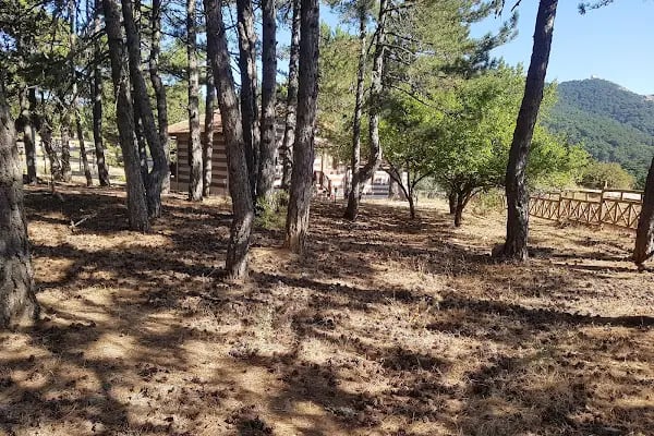 Spil Dağı Milli Parkı - Resim 18