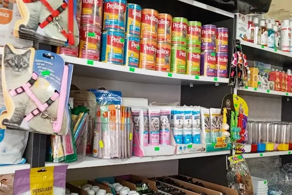74bilgin petshop 2 - Resim 2