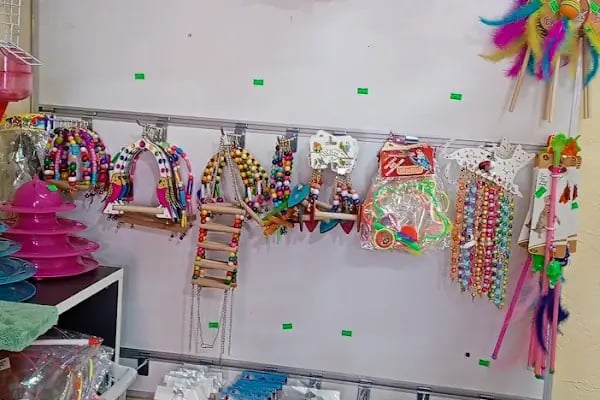 74bilgin petshop 2 - Resim 13