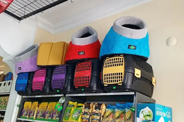 74bilgin petshop 2 - Resim 15