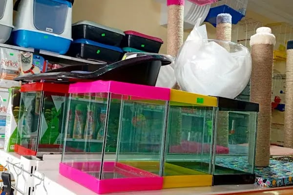 74bilgin petshop 2 - Resim 8