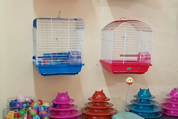 74bilgin petshop 2 - Resim 10