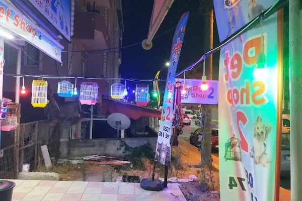 74bilgin petshop 2 - Resim 18