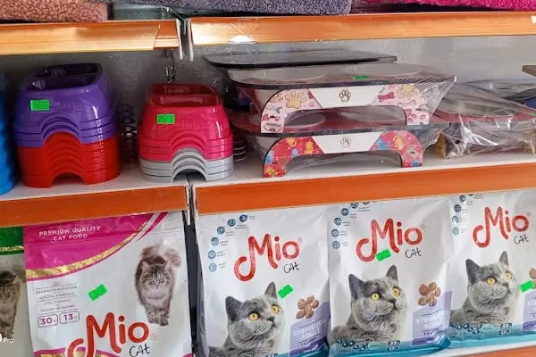 74bilgin petshop 2 - Resim 17