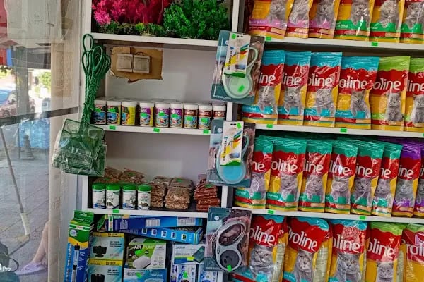 74bilgin petshop 2 - Resim 6