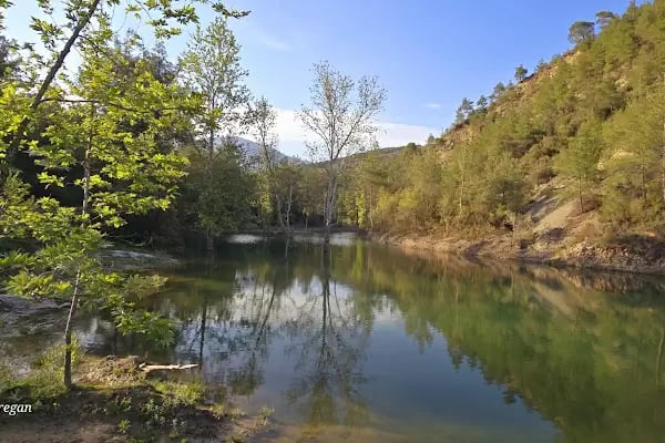 Yedigöze Milli Parkı - Piknik Alanı - Resim 11